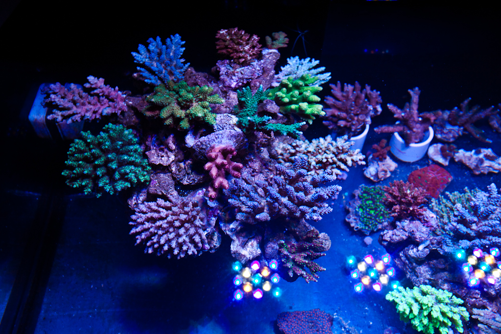 11535971446_51254164f5_b.jpg