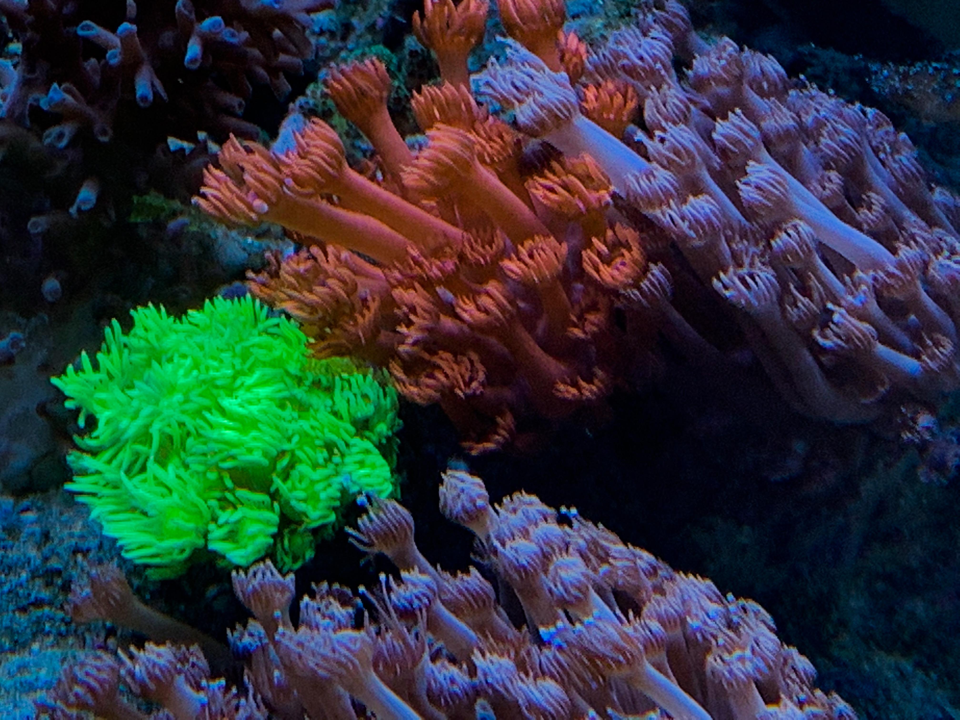 895a6432f90748d30e3d3f7804c74dc6.jpeg