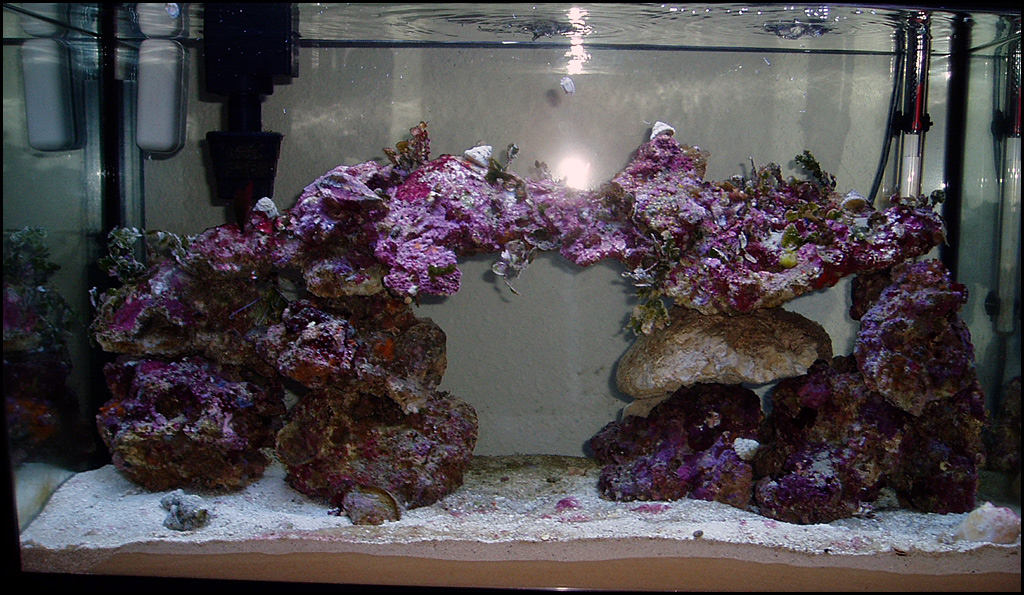 tank-02-14-05.jpg