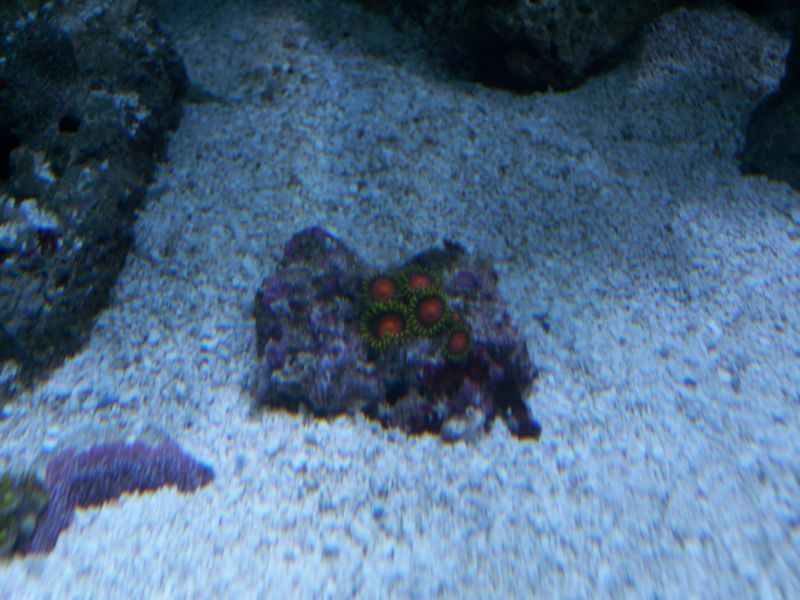 100_8588.jpg