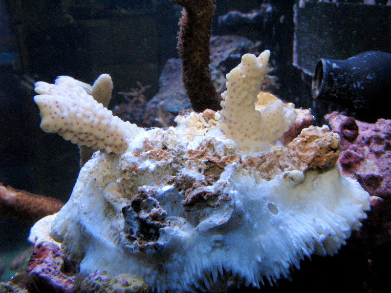 IMG_3161.JPG