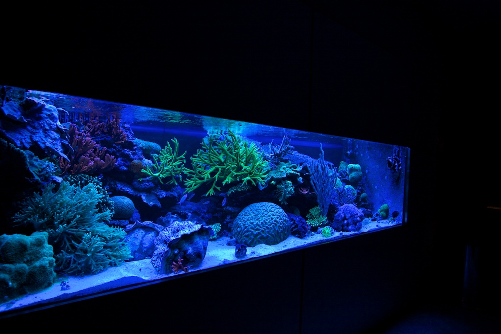 201108-16.jpg