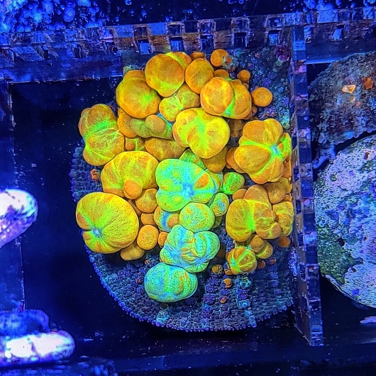 2c71c4794bb874e67897bd476c7e741e.jpg