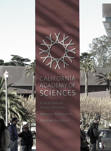 3139917537_412e4260d9.jpg
