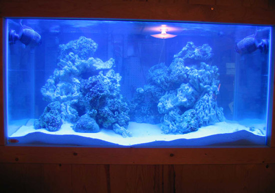 120g6-21-07.jpg