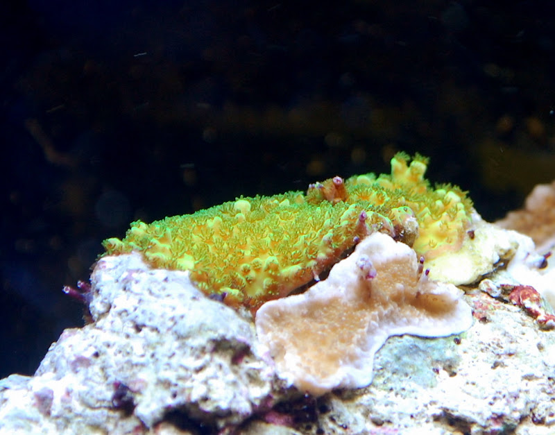 DSC_6423.JPG