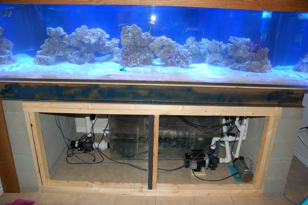 fishroom62.jpg