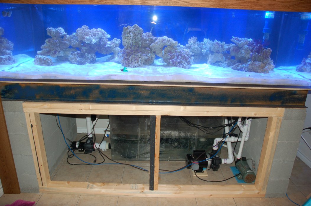 fishroom62.jpg