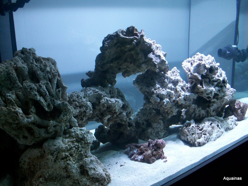 100_6811.jpg