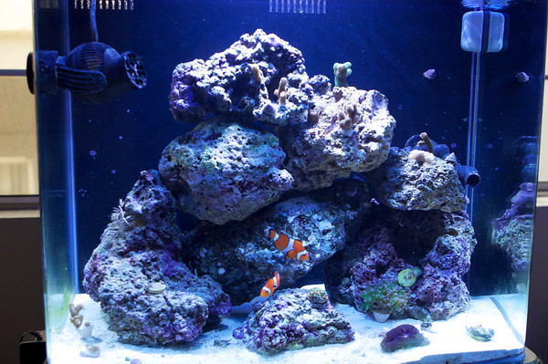 522702365_tSUPf-M.jpg