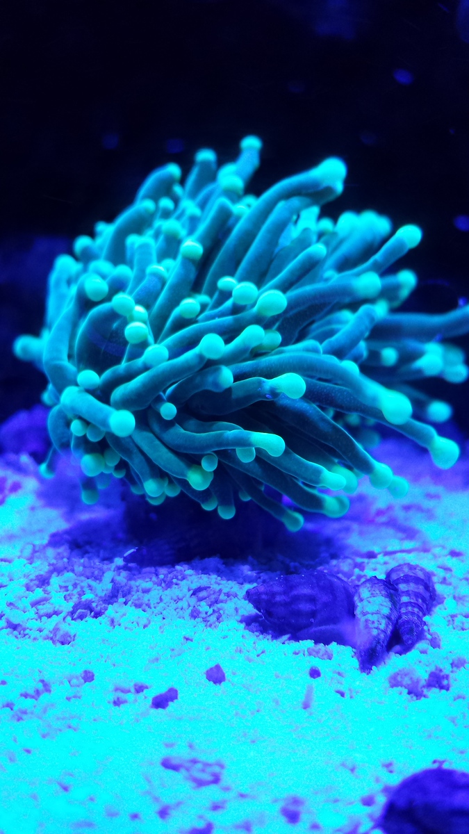 20131102_205257-X3.jpg