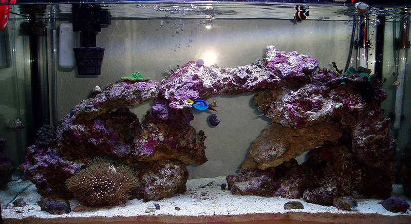 tank-04-17-05.jpg