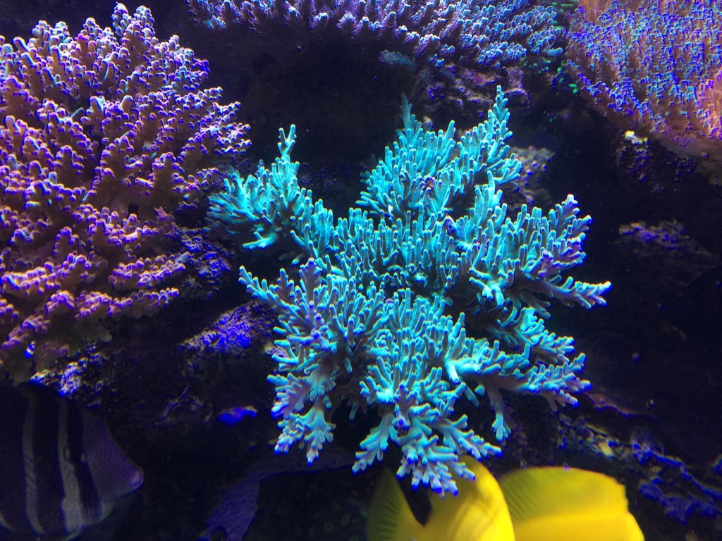 ebb6351b31bc657a72f49865d4e4e044.jpg
