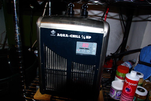 2761729346_080e4758ef.jpg