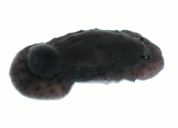 5937a.jpg