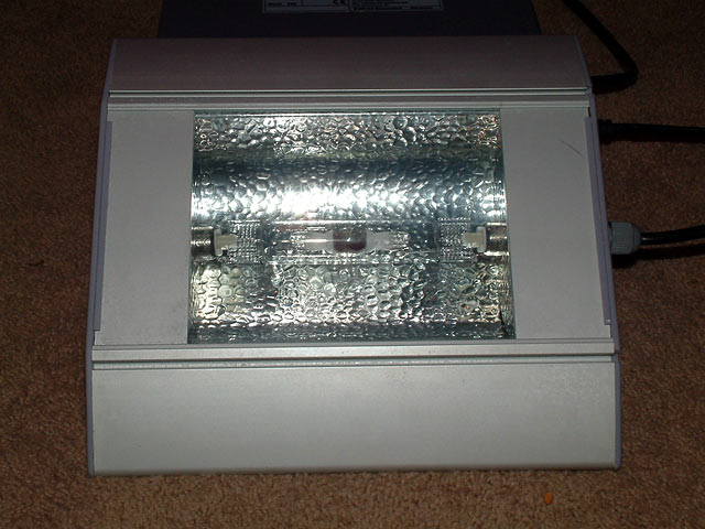 150w_bulb.jpg