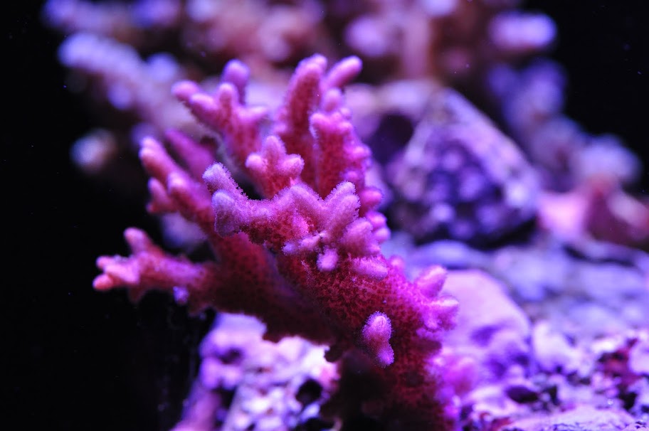 DSC_3080.JPG