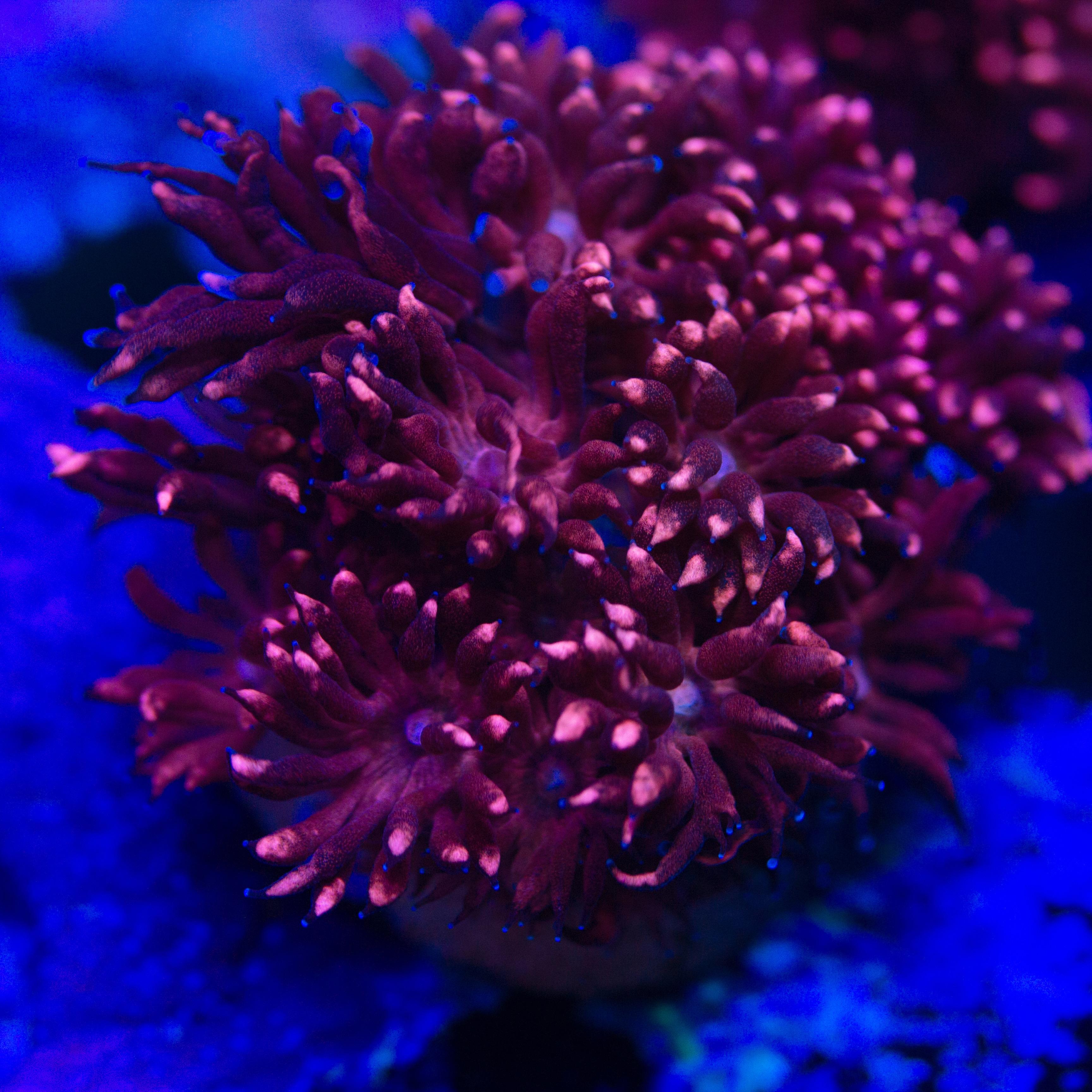 288faa9cd246b58efe5d90bdab8ba648.jpg