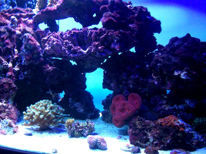 100_9609.jpg