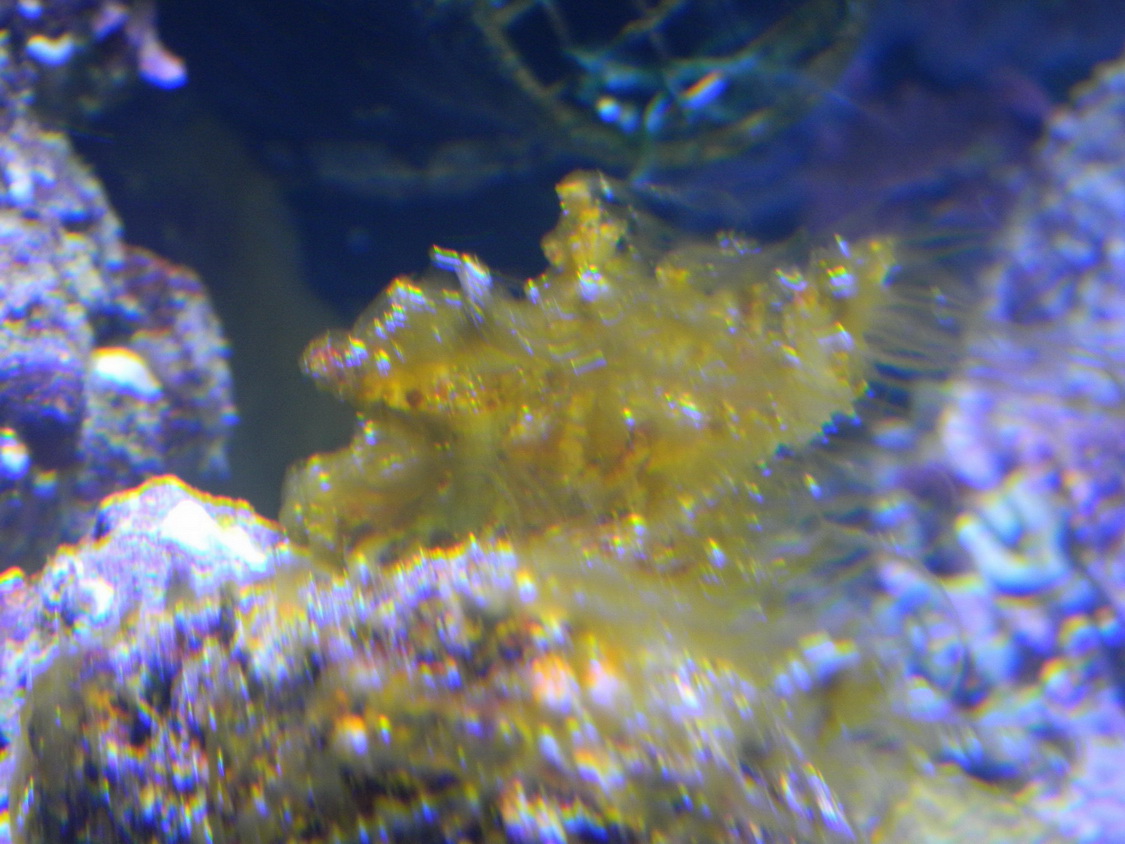 DSCN0953.JPG