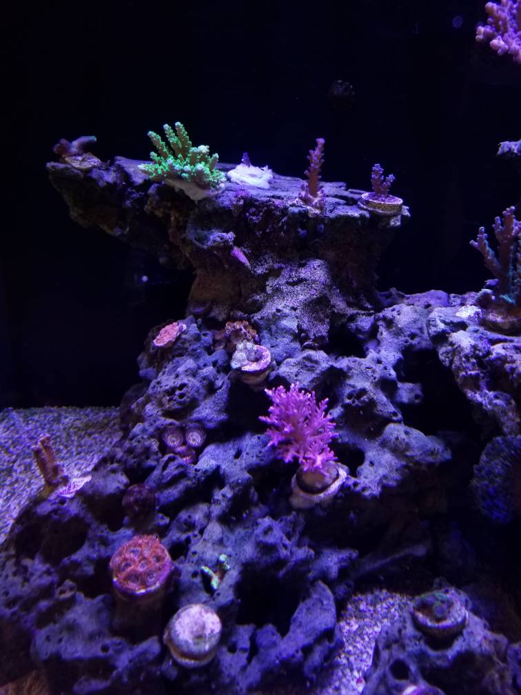 fef0ea6d483c038c828938379bddc56e.jpg