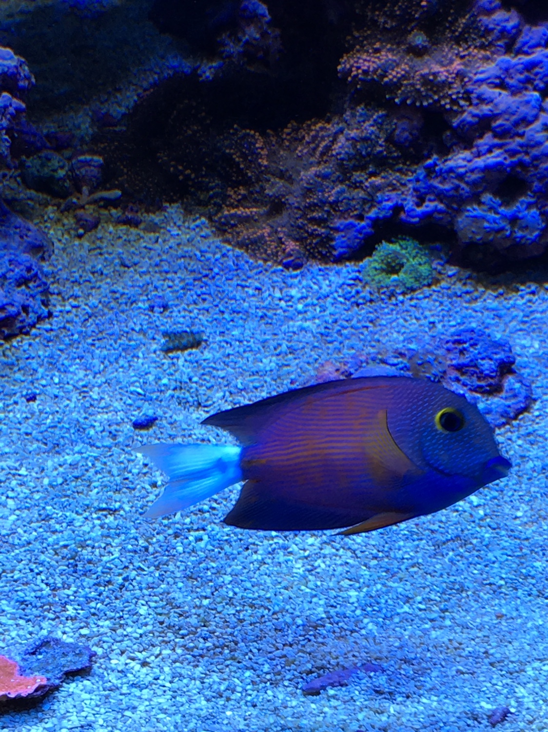 ed858f3cf680da092bf1f193808c0b9d.jpg