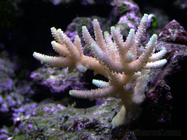 DSCN4709.jpg