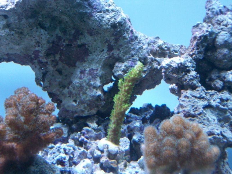 100_8585.jpg