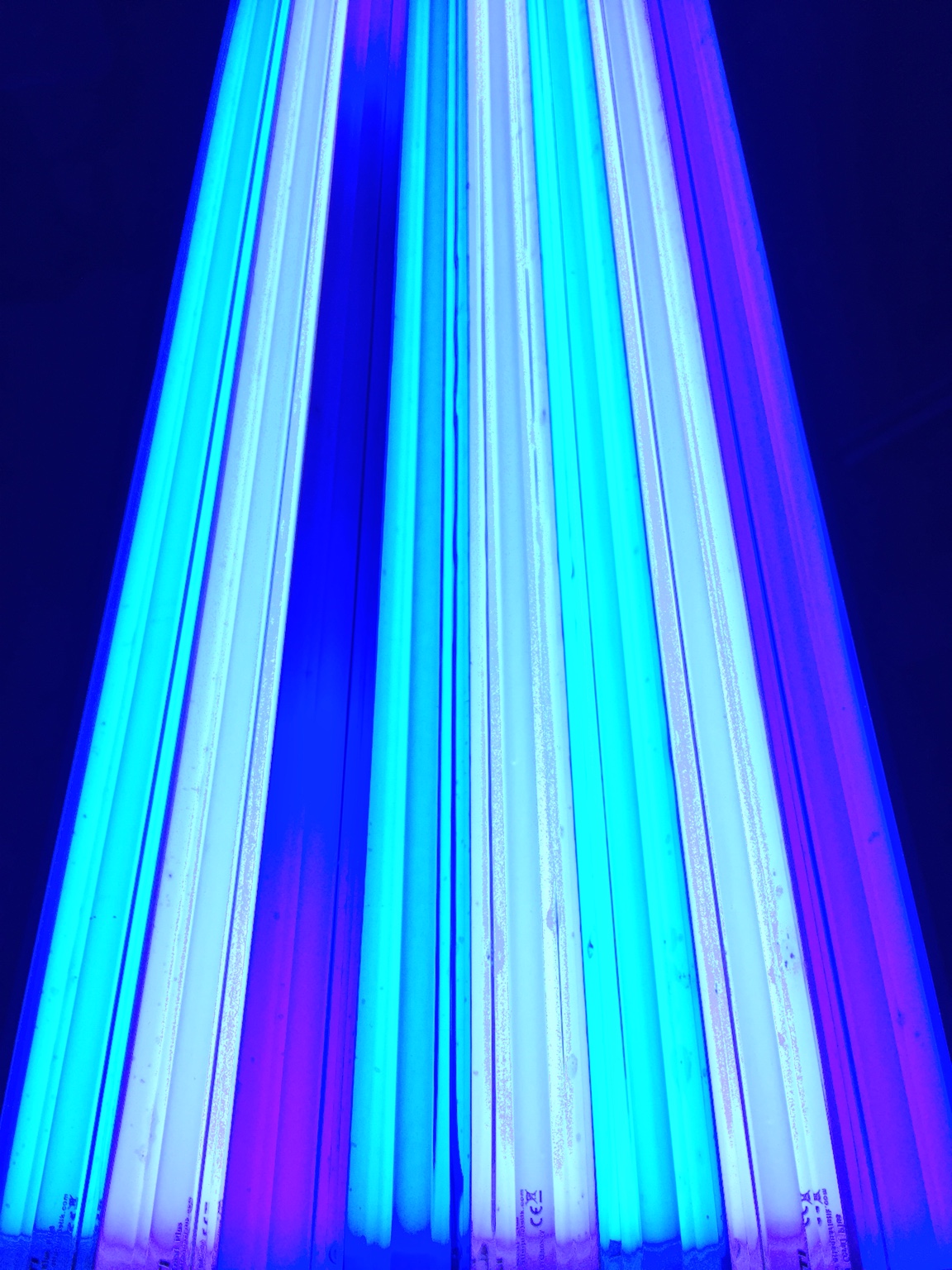 0a72170adae87a8135bf48ab7a9f1aa6.jpg