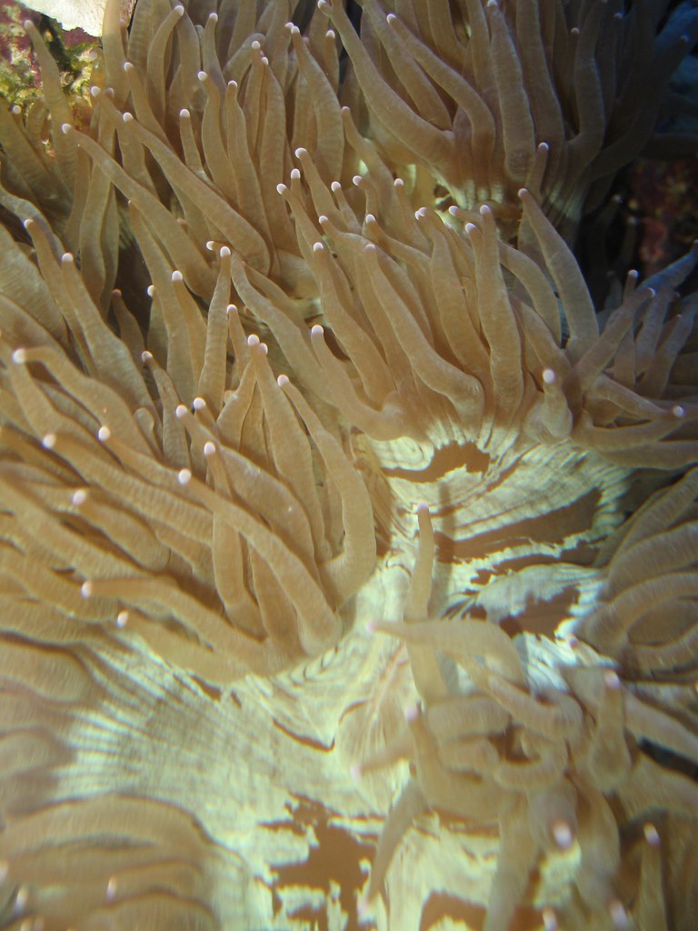 1525986376_70b7d31655_b.jpg