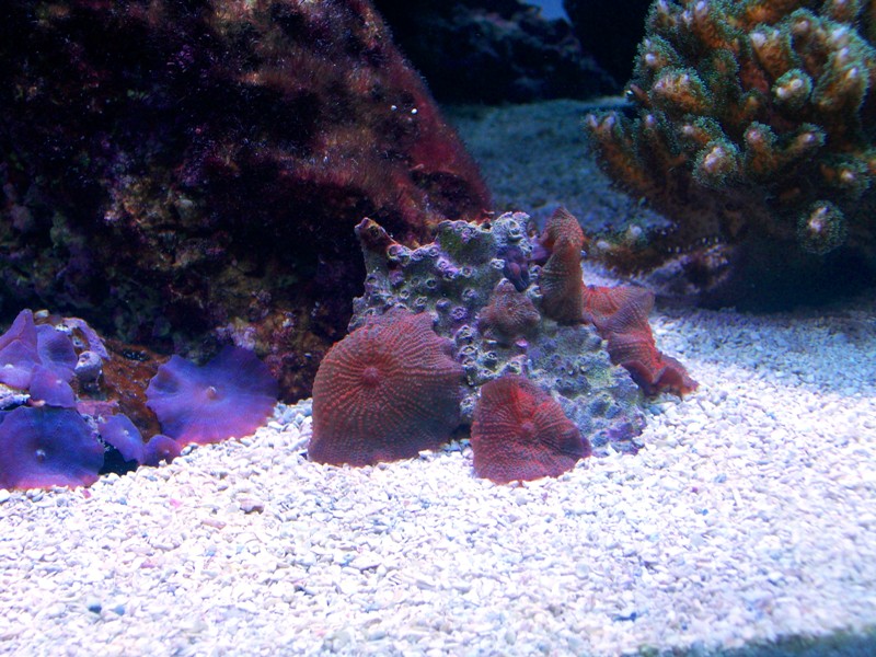 100_9652.jpg