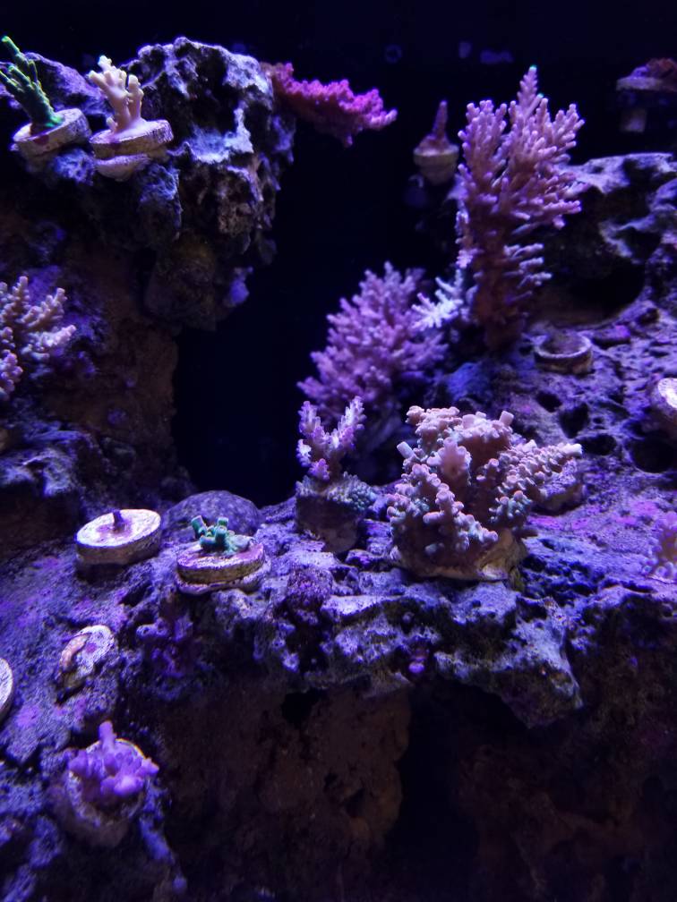 4d26ea200ead032faa7240fb064ba784.jpg