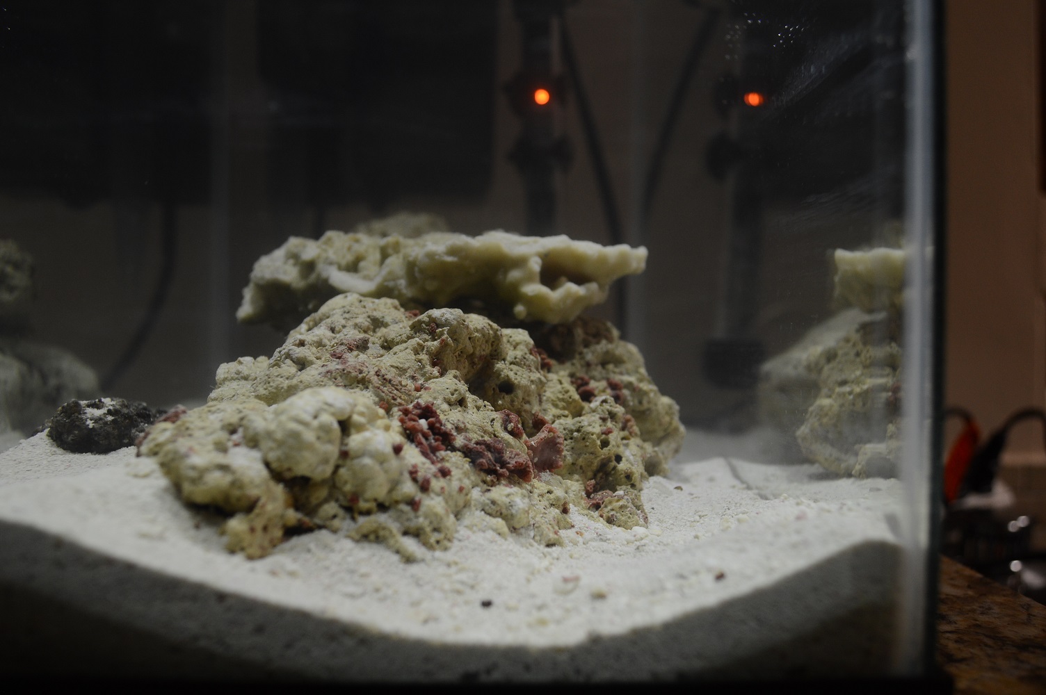 DSC_0285.JPG