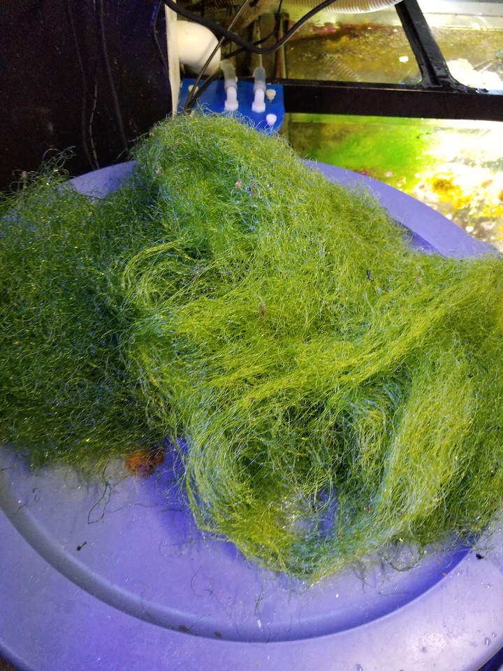 20170427_215541-X2.jpg