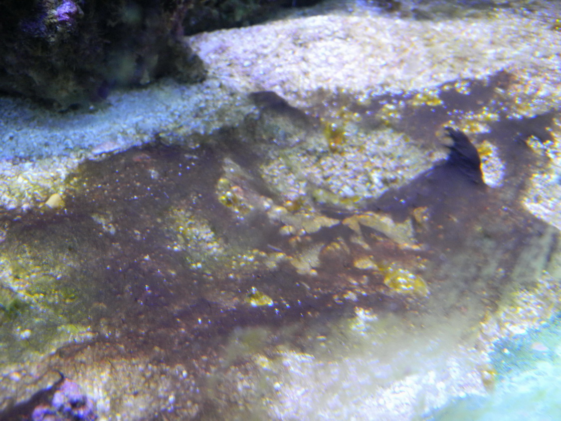 DSCN0957.JPG