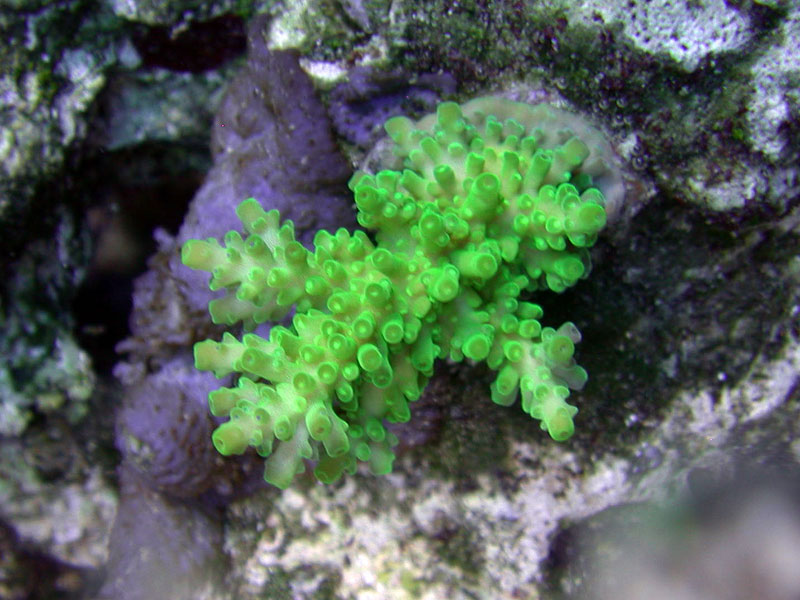 DSCN3529.jpg
