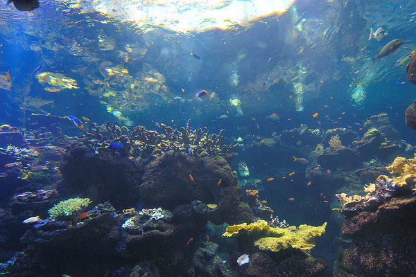 390824784_7YnN3-600x400.jpg