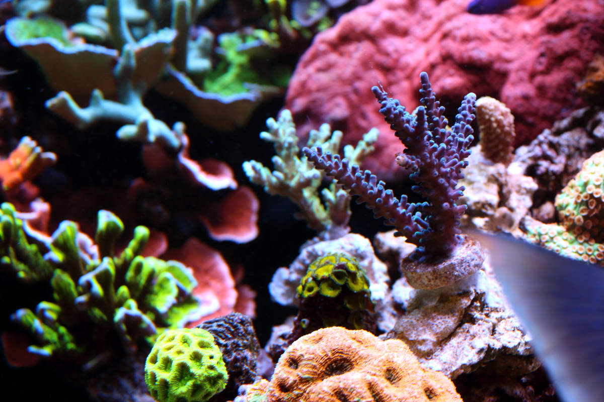 Sept20130011.JPG