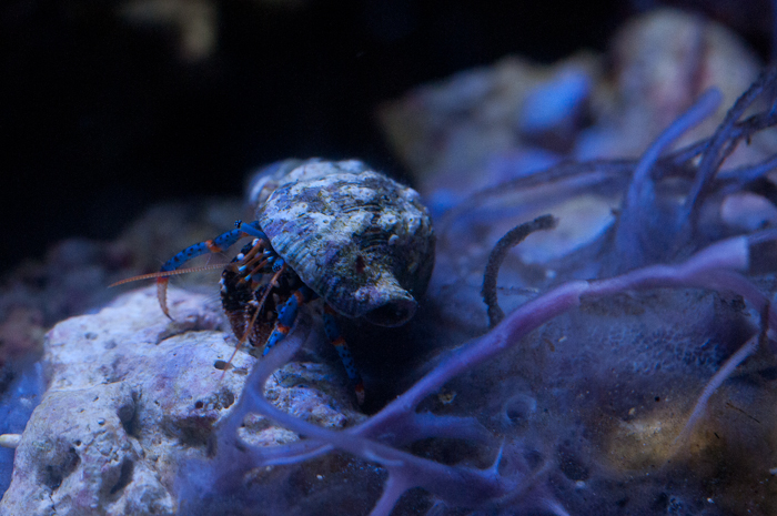 20110125-_DSC0048.jpg