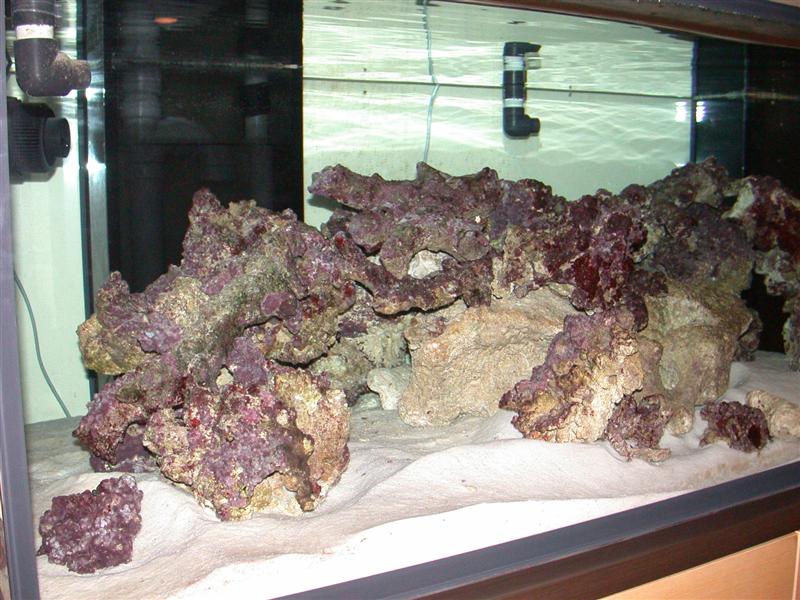 DSCN2337.JPG