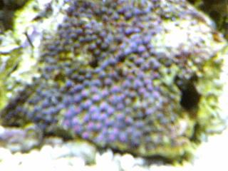 119671pic060907_7.jpg