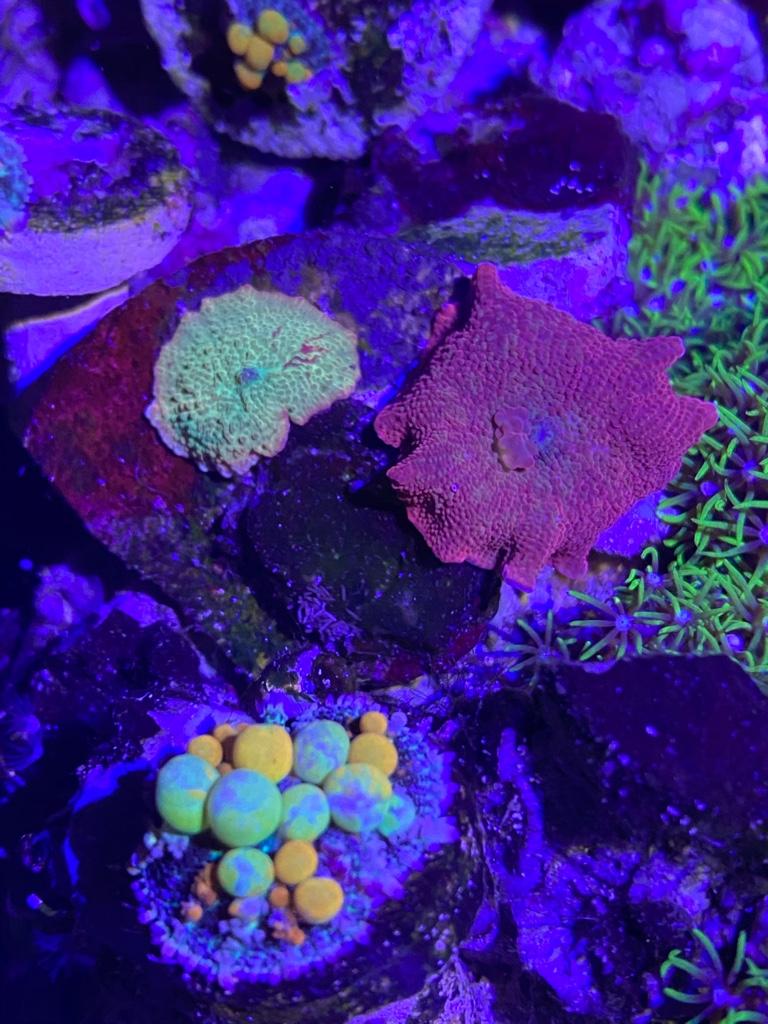 4df34e21ac15eca220313798c1972ee7.jpg