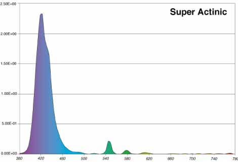 SuperActinic.jpg