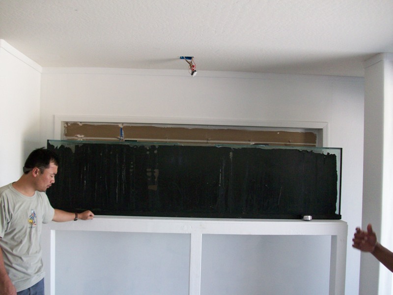100_6217.jpg