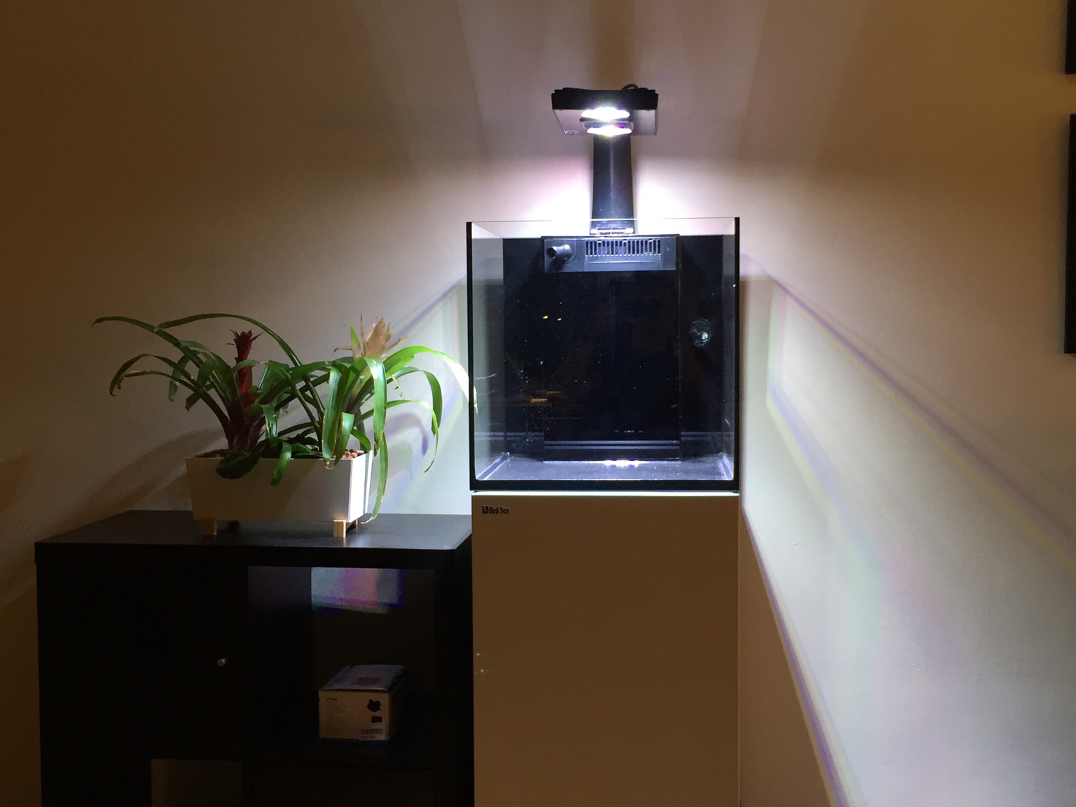 f3d26052e3a041bccab8c73012dd270a.jpg