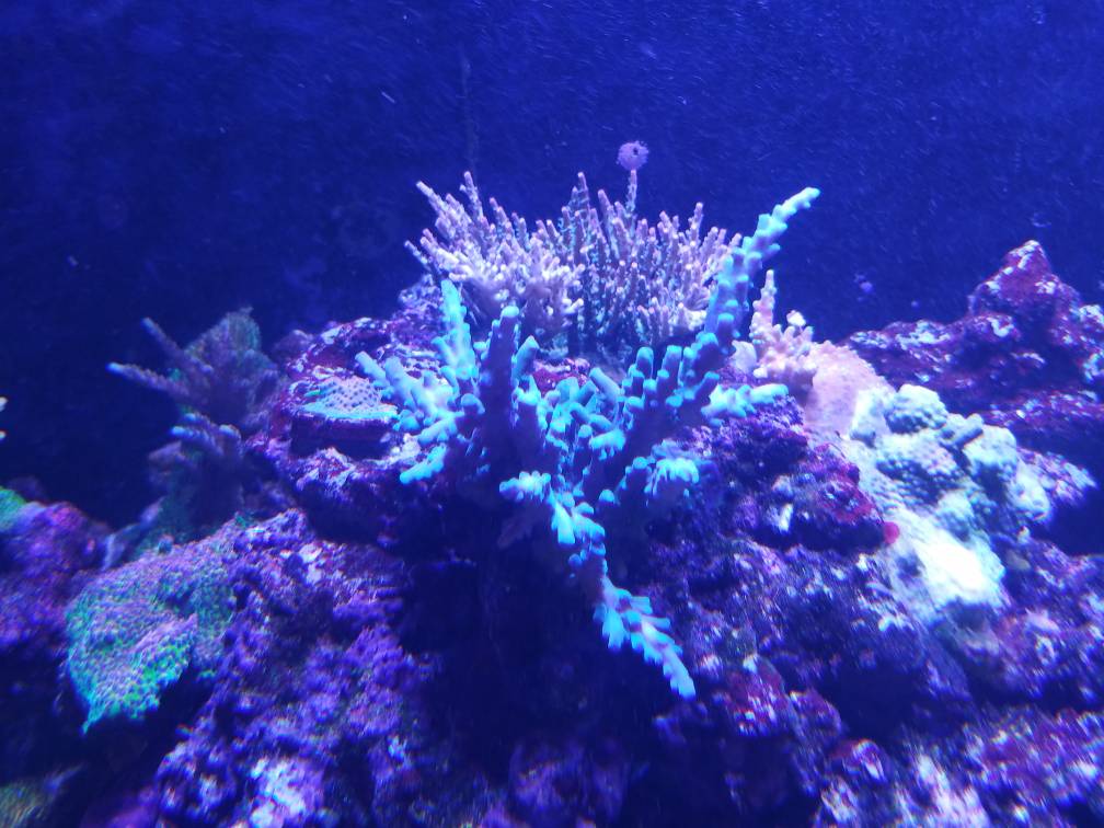 2e1ae6af00f307cff5d4835352ac1913.jpg