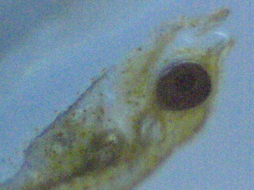man_73_6.jpg