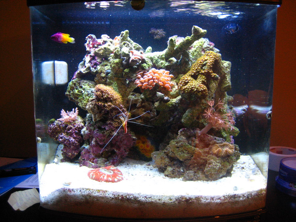IMG_1234_resize.JPG