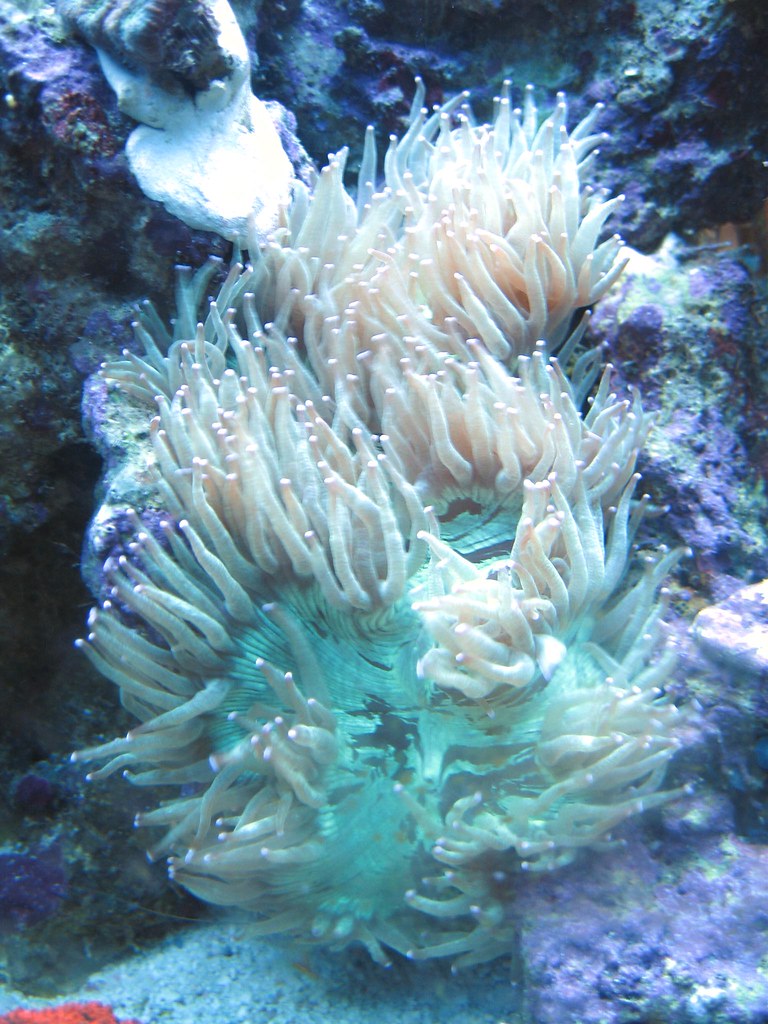 1525118843_aa02661c6f_b.jpg