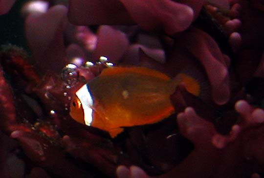 6_DSCN7518.jpg